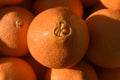 Navel Oranges Large 1kg