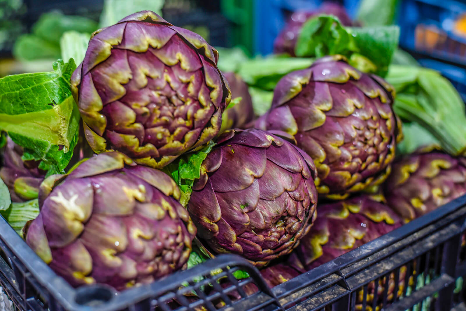 Apollo Artichokes 3pc