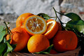 Bitter Oranges 1kg